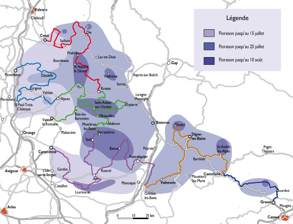 lavanda-mapa-provenza