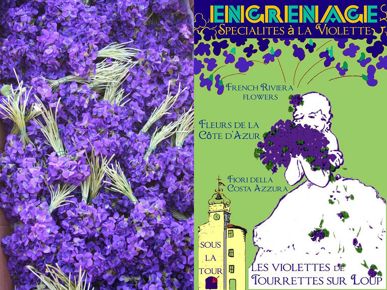 violeta-tourrettes-provenza