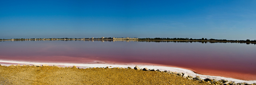 camarga-camargue-mediterraneo